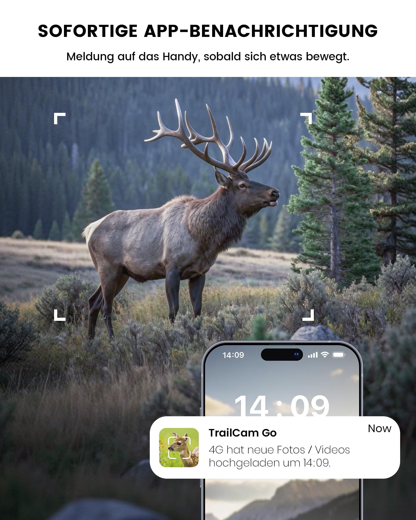 Misstech 4G LTE Wildkamera mit SIM Karte – 2K unsichtbare 940nm Nachtsicht