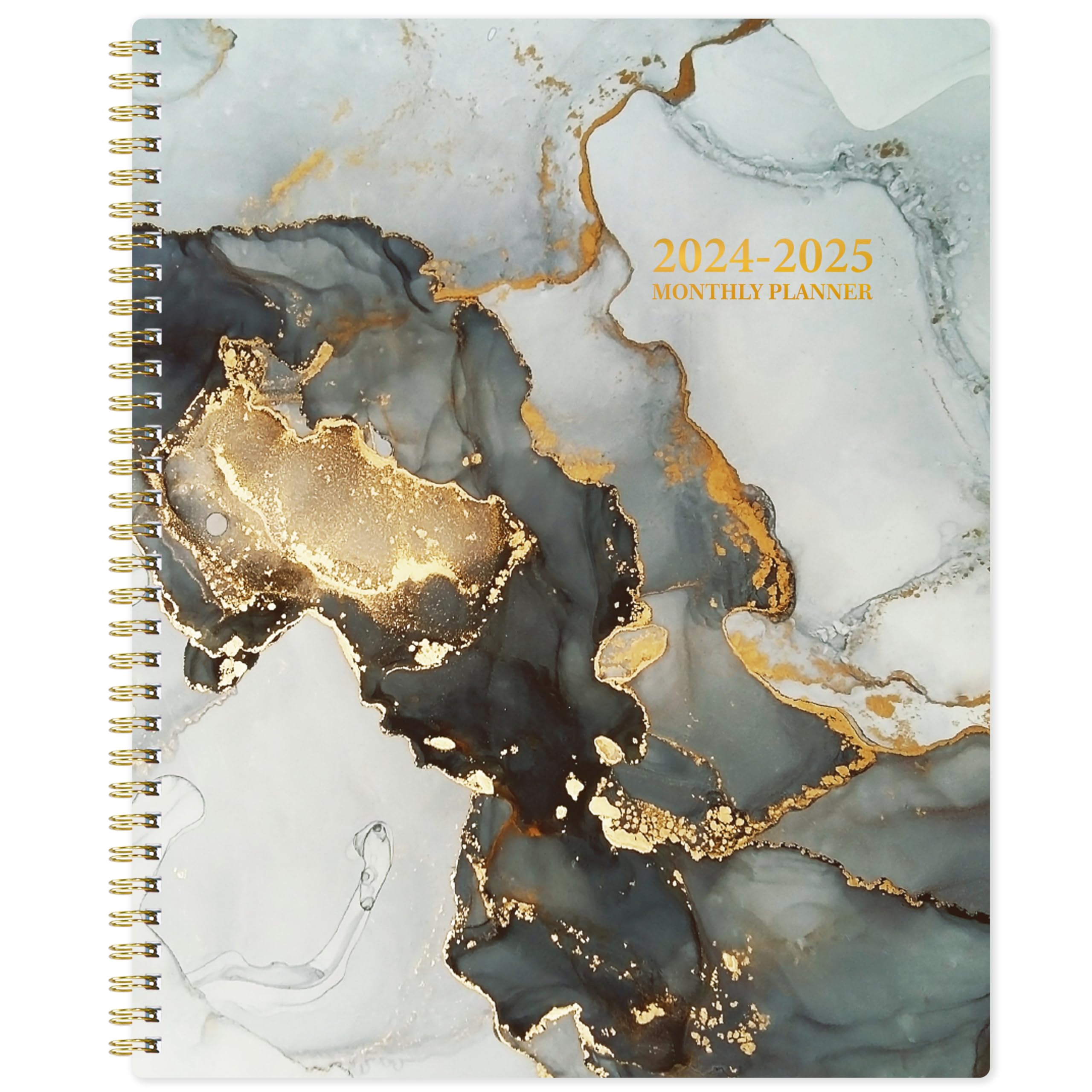 Buy 2024 2025 Monthly Planner Monthly Monthly Planner 2024 2025 JAN 
