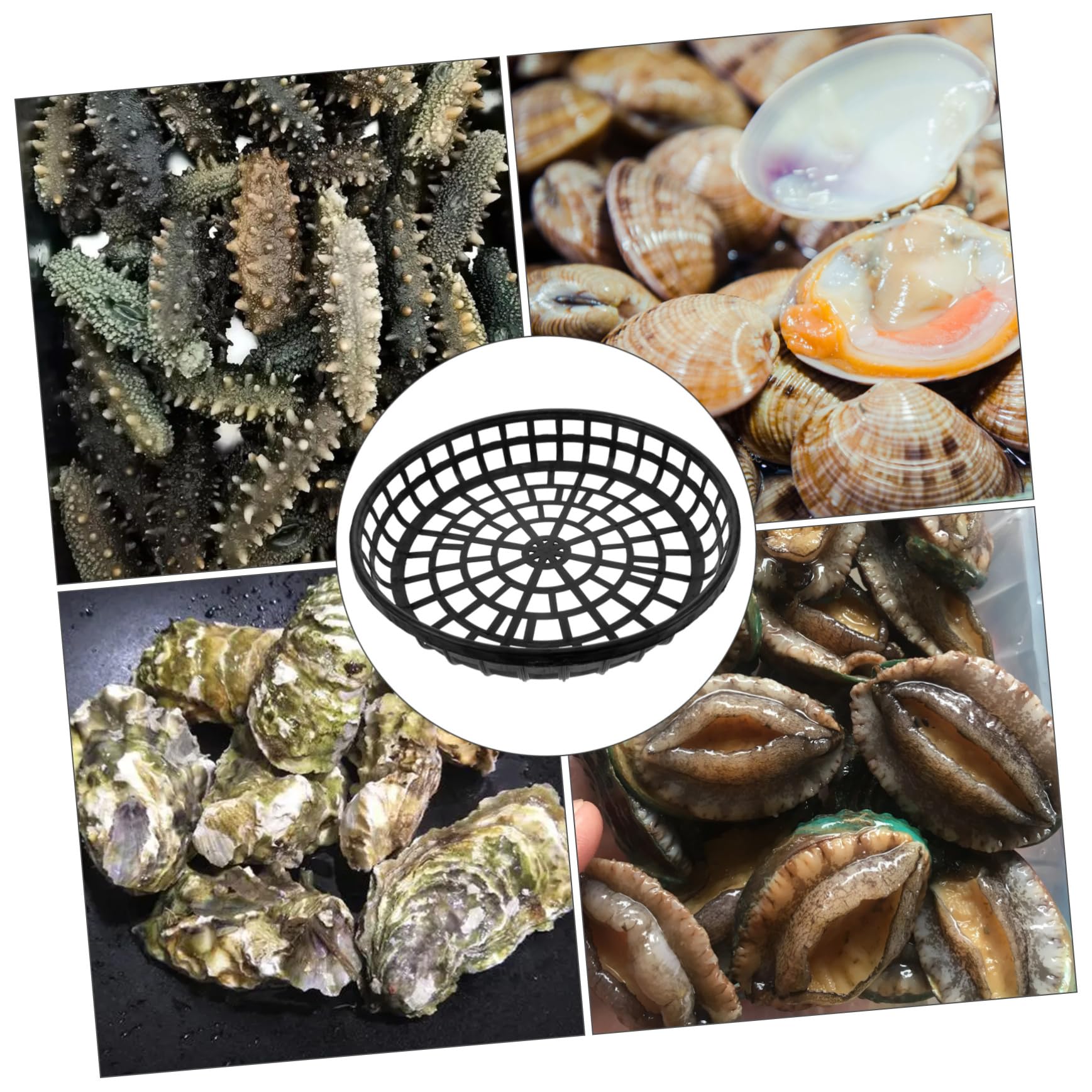 FUNOMOCYA 4pcs Seafood Breeding Cage Scallops Scallop Cultivation Tray Scallop Baskets Breeding Mesh Basket Aquaculture Basket Trepang Breeding Baskets Breeding Tray Hollow Plastic