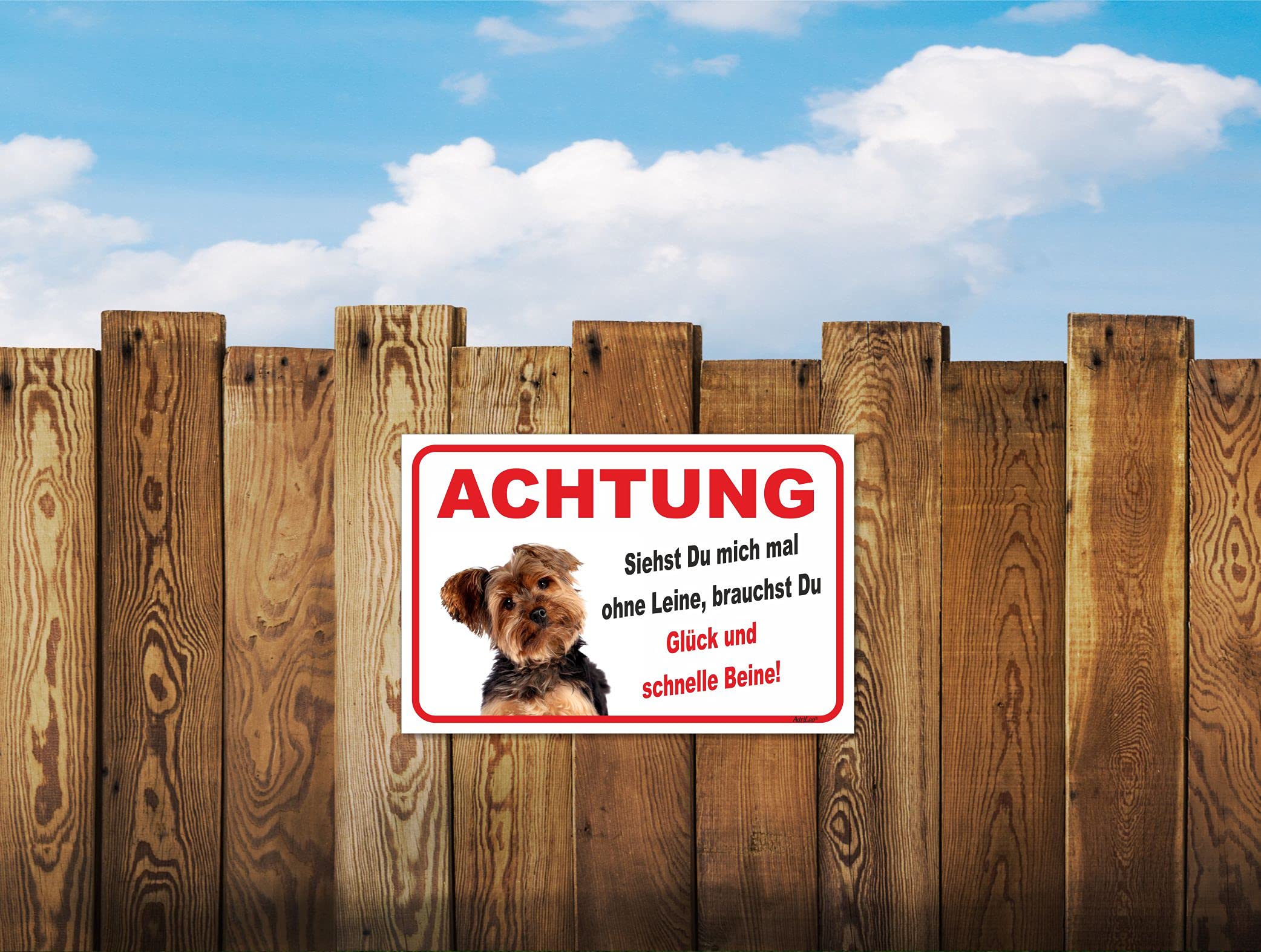 Warnschild „Vorsicht Kurzhaardackel“ – 30x40 Cm, Alu, Wetterfest, Für Garten & Haustür