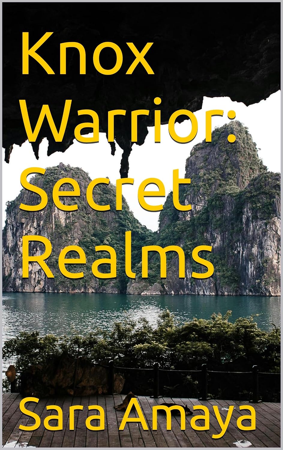 Knox Warrior: Secret Realms