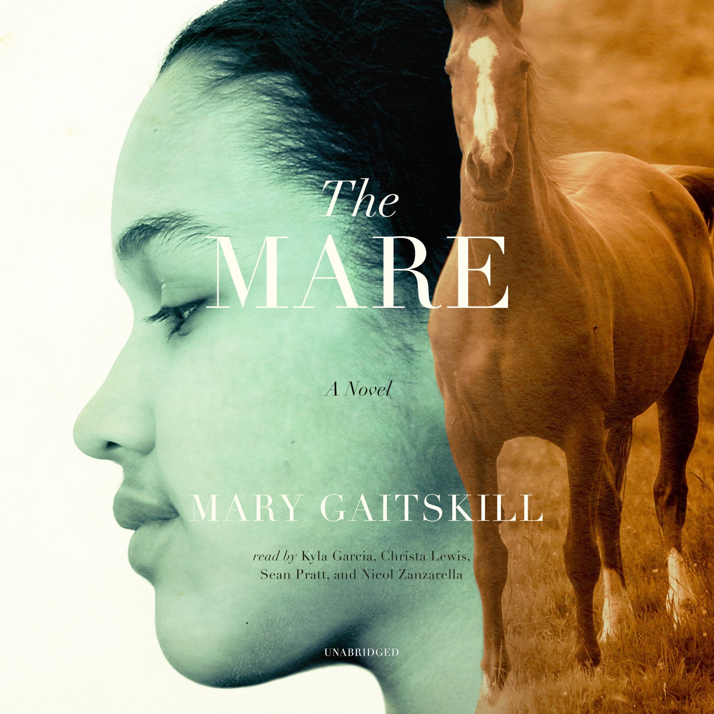 Cover art for The Mare