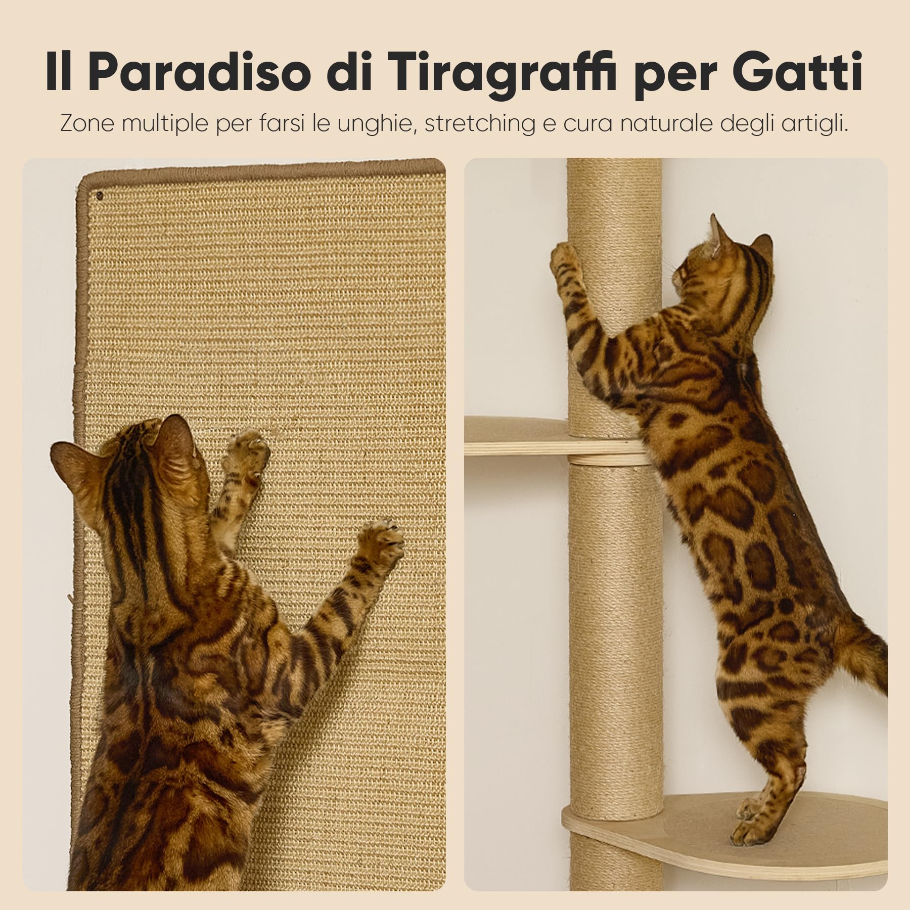 FUKUMARU Mensole per Gatti, Set di Mobili Montati a Parete in Legno Stabile da 4 Pezzi, Parete di Arrampicata con Tiragraffi, Amaca, Letto,Tappetino - Ideale per il Gioco e il Riposo dei Gatti (Beige)