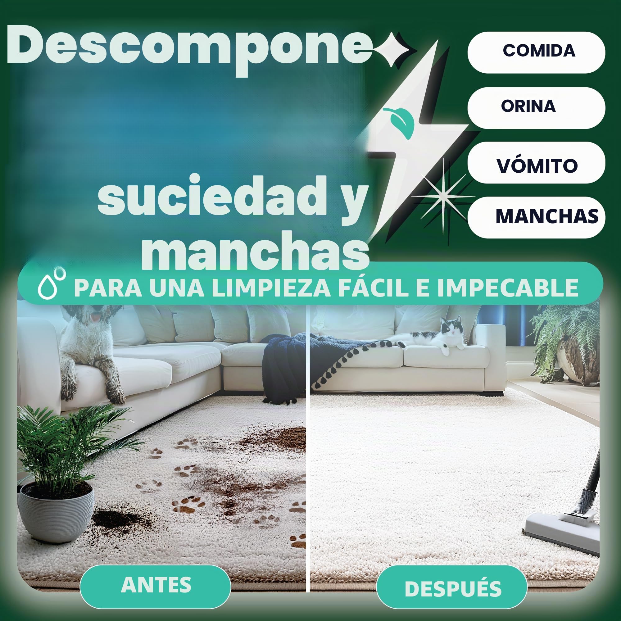 Dirtbusters - Clean & Protect - 4 en 1 Limpiador, removedor de manchas, neutralizador de olores y protector. Aroma cítrico. 5 litros