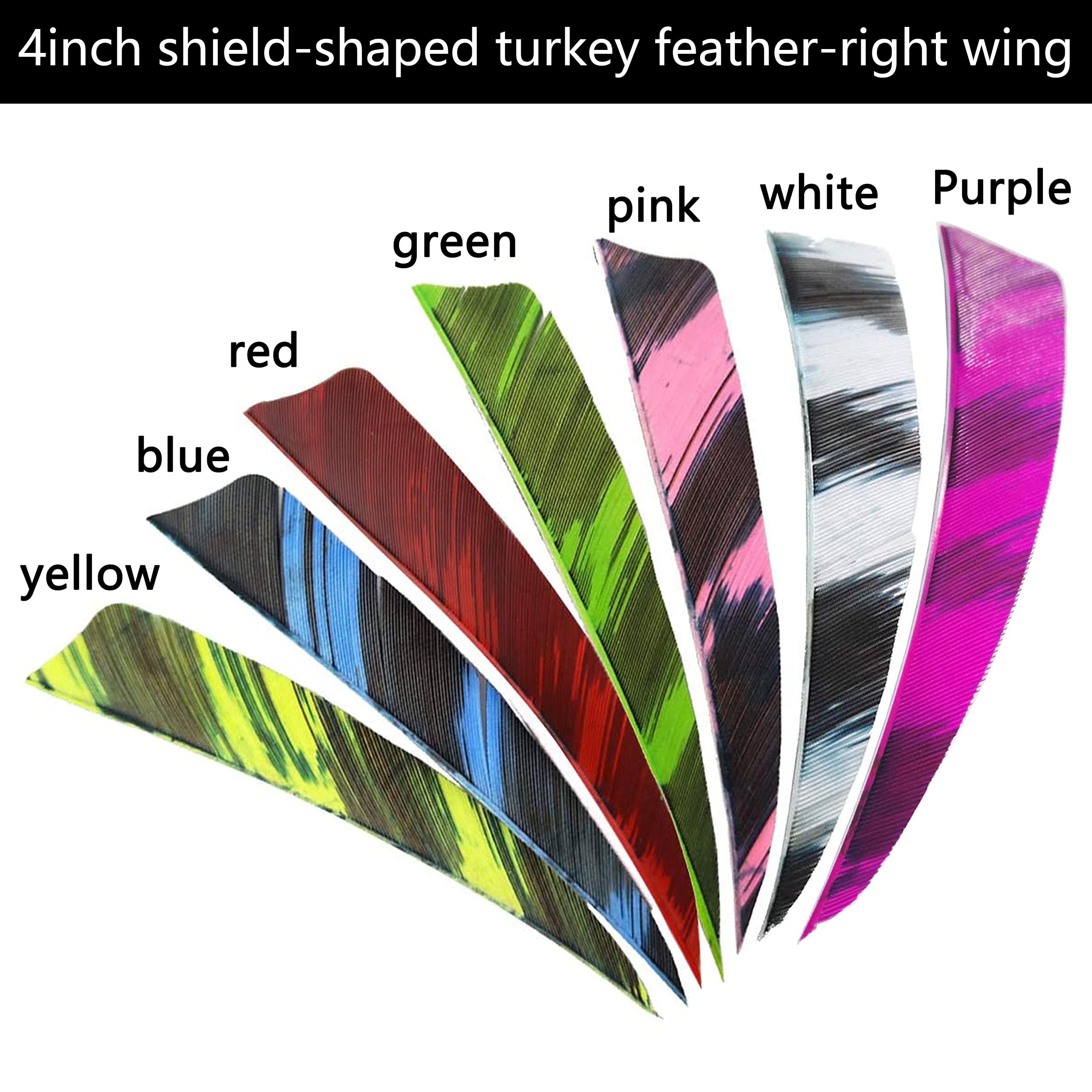 25 Plumes Naturelles D'aile Droite Pour Empennage De Flèches - 4 Pouces, Colorées, Archerie