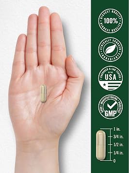 Carlyle Gymnema Sylvestre Capsules | 200 Count