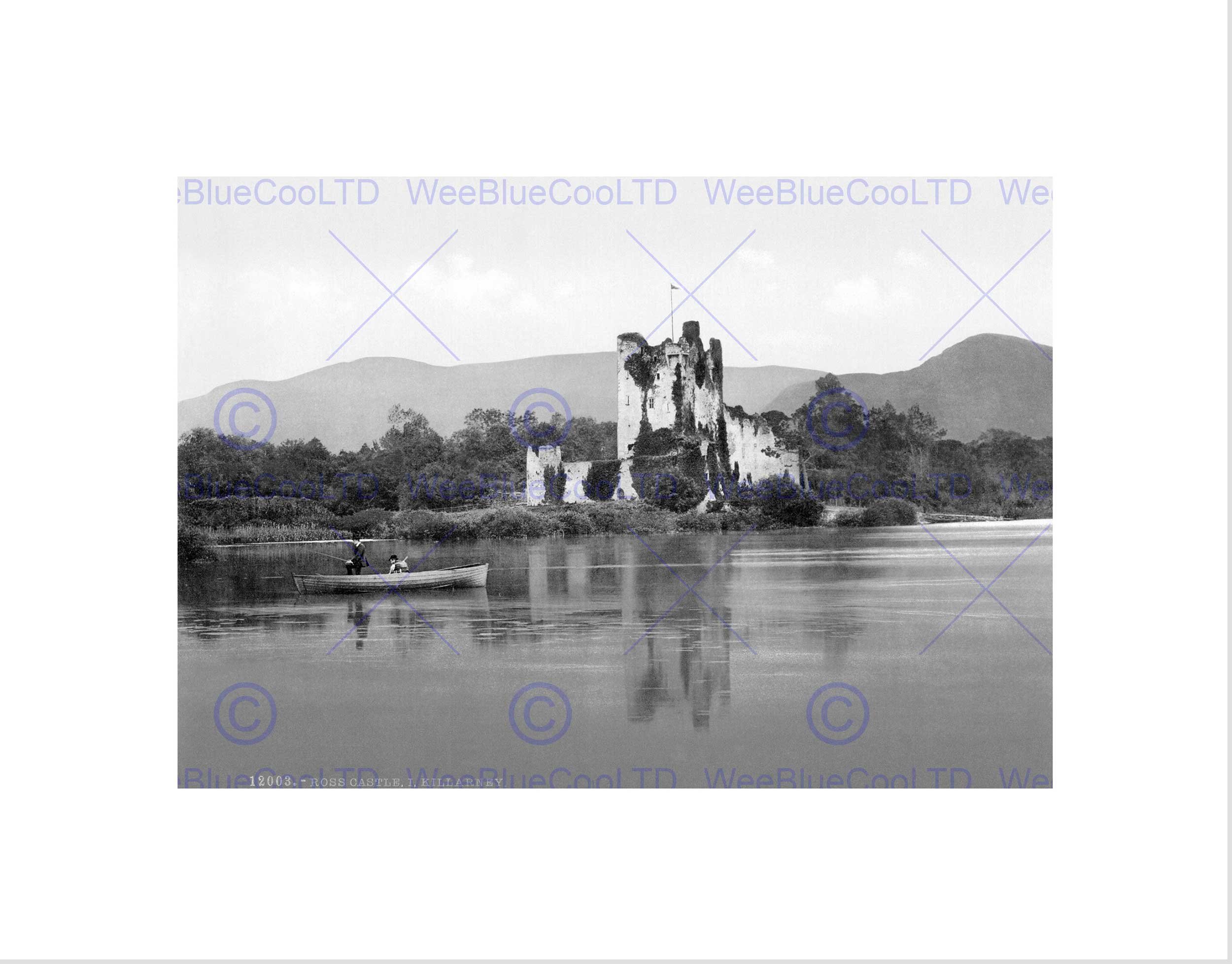 Wee Blue Coo Ross Castle Killarney County Kerry Ireland Old BW Wall Art Print