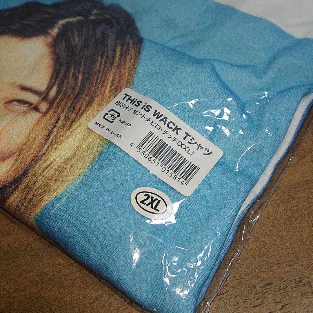 BiSH セントチヒロ・チッチ Tシャツ XXLサイズ 2着 新品1004