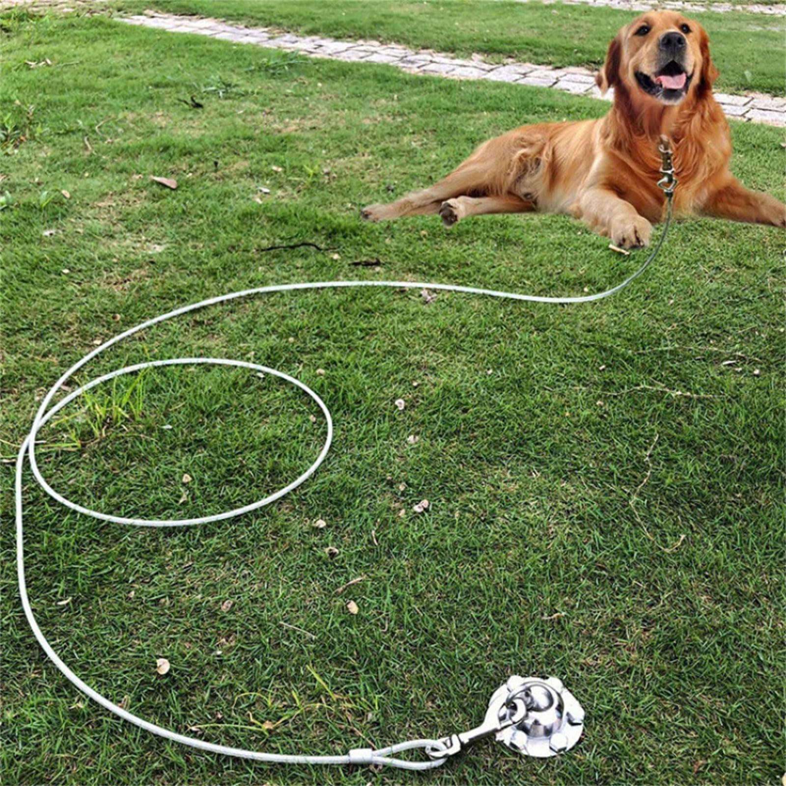 Haustier-Leinen-Clip aus Stahllegierung, 360 Grad drehbar, Anti-Ausbruch-Drehgelenk, für Hunde, Pferde, Outdoor, Camping, Stahllegierung
