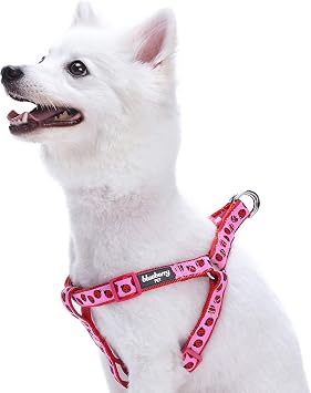 Blueberry Pet Essentials 2 Patterns Step-in Ladybug Designer Dog Harness, Chest Girth 26 - 39, Large, Adjustable Harnesses for Dogs