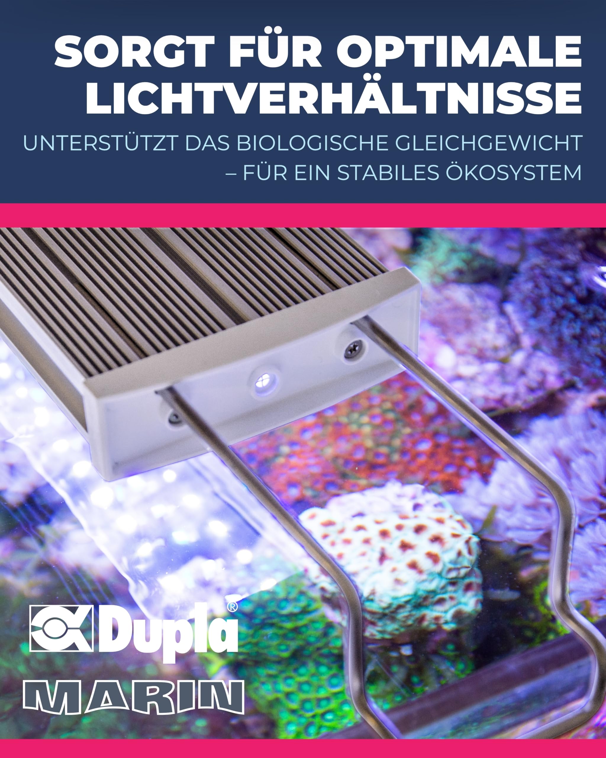 Dupla Marin Ocean Lux LED Controller I Programmierbare Lichtsteuerung für Meerwasseraquarien I Tageslicht- & Mondphasen-Simulation im Aquarium I 2-Kanal-Steuerung I 24 V Sicherheitsspannung