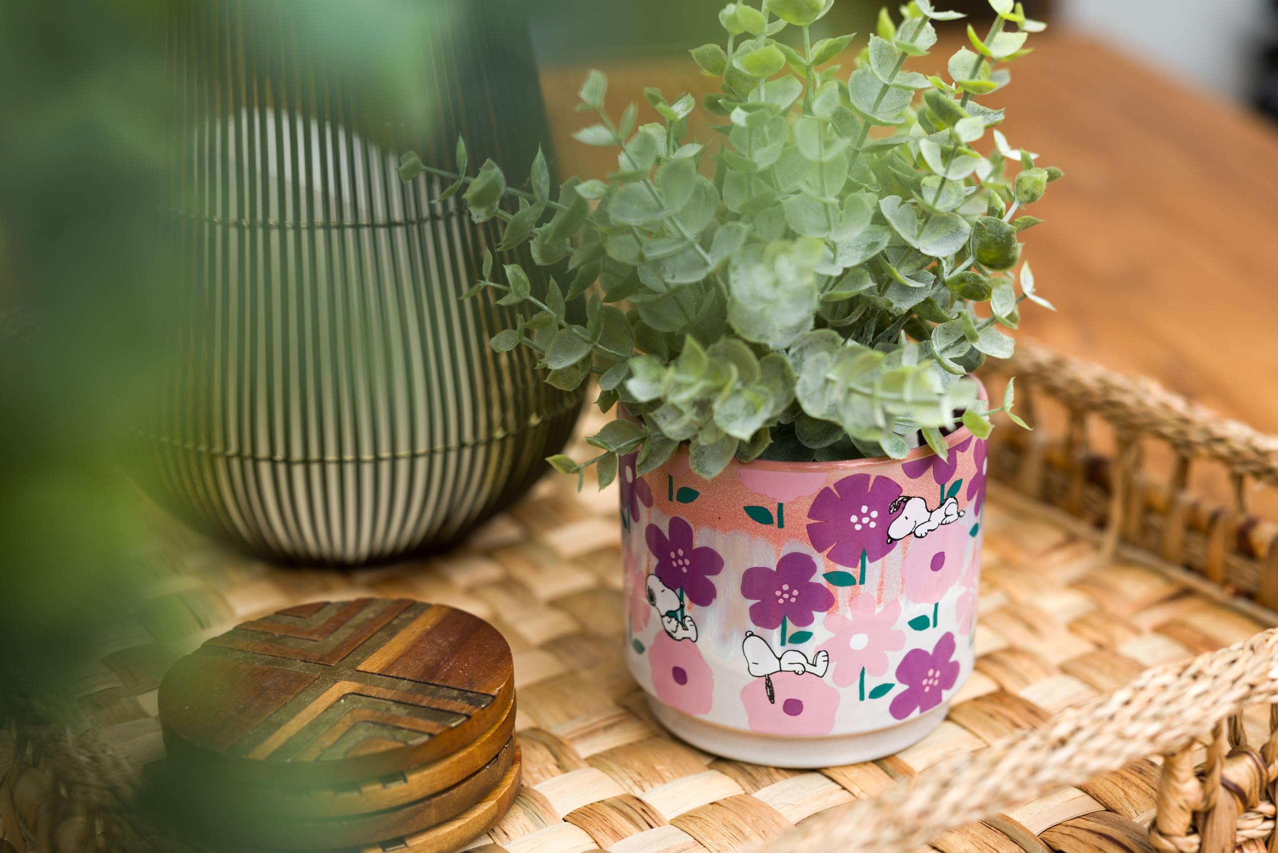 Amazon.com : Silver Buffalo Peanuts Reactive Glaze Ceramic Planter