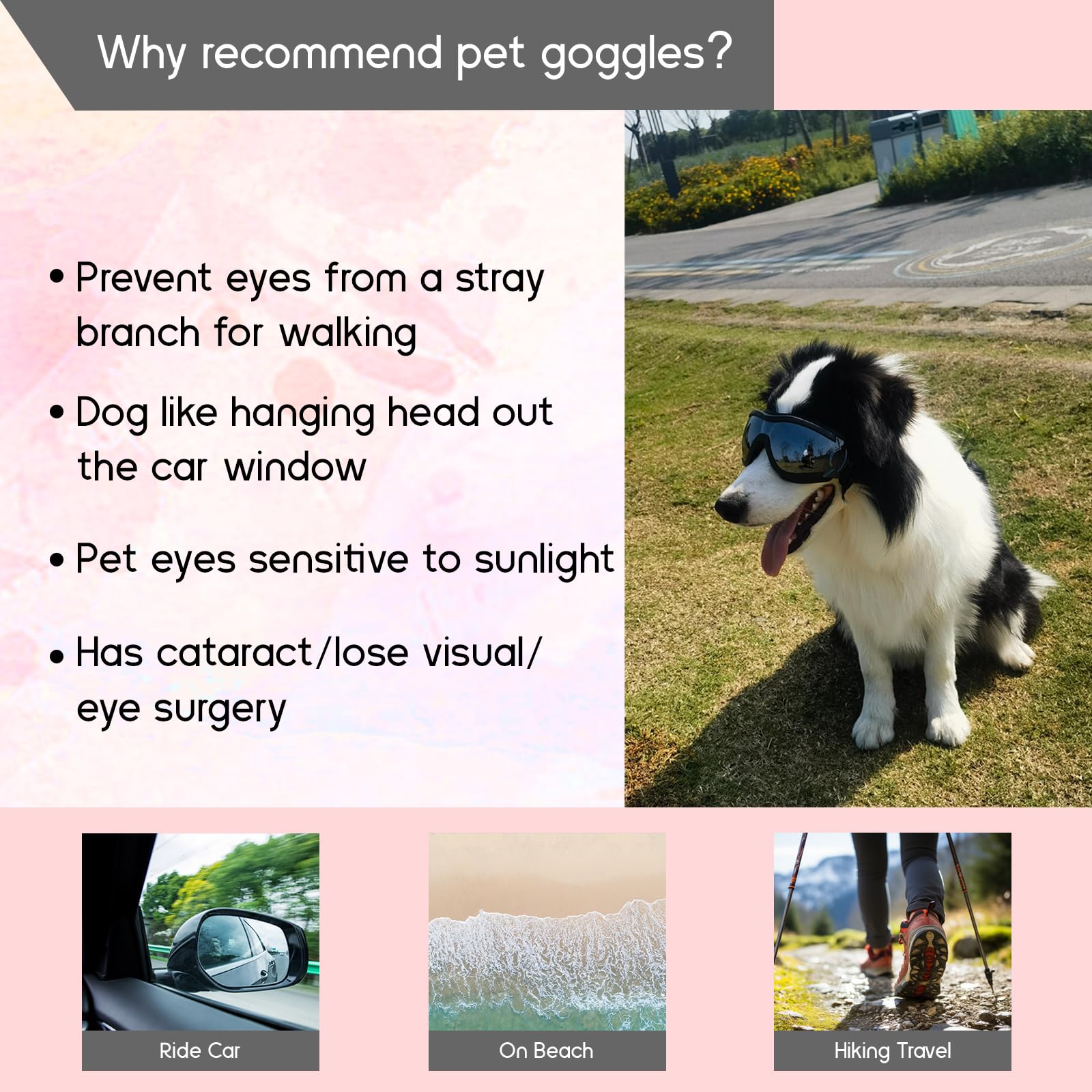 Occhiali da Sole per Cani Badaren Protettivi Uv, Occhiali per Animali Domestici Medio/Grande