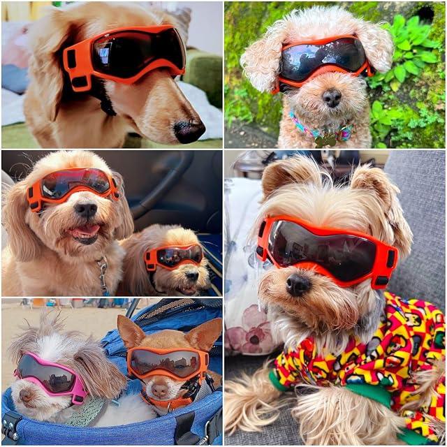 Foto 2 de 6 de Enjoying Gafas de sol para perro de raza pequeña, gafas con protección ultravioleta, para cachorros