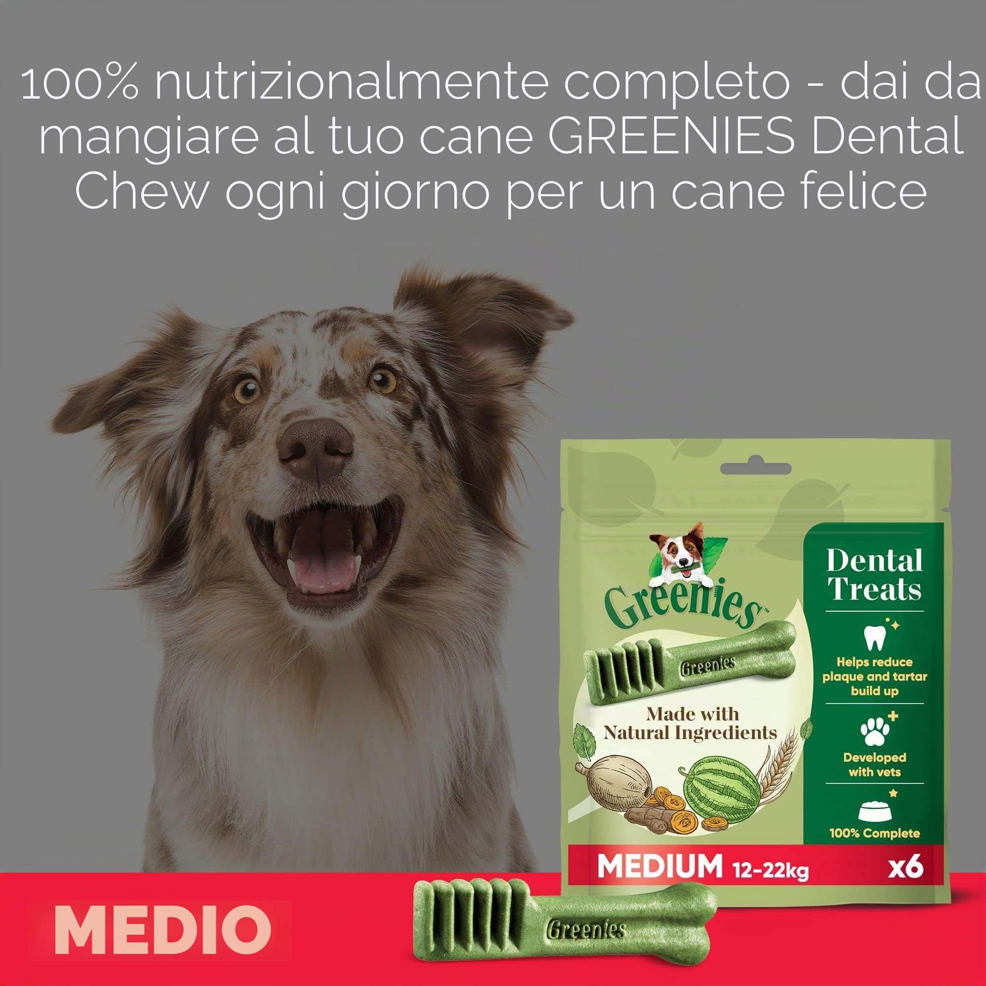Greenies Snack Dental Regular para Perros da 11kg a 22kg - Pacco in 6 x Bolsa a 340g (2,04 kg)