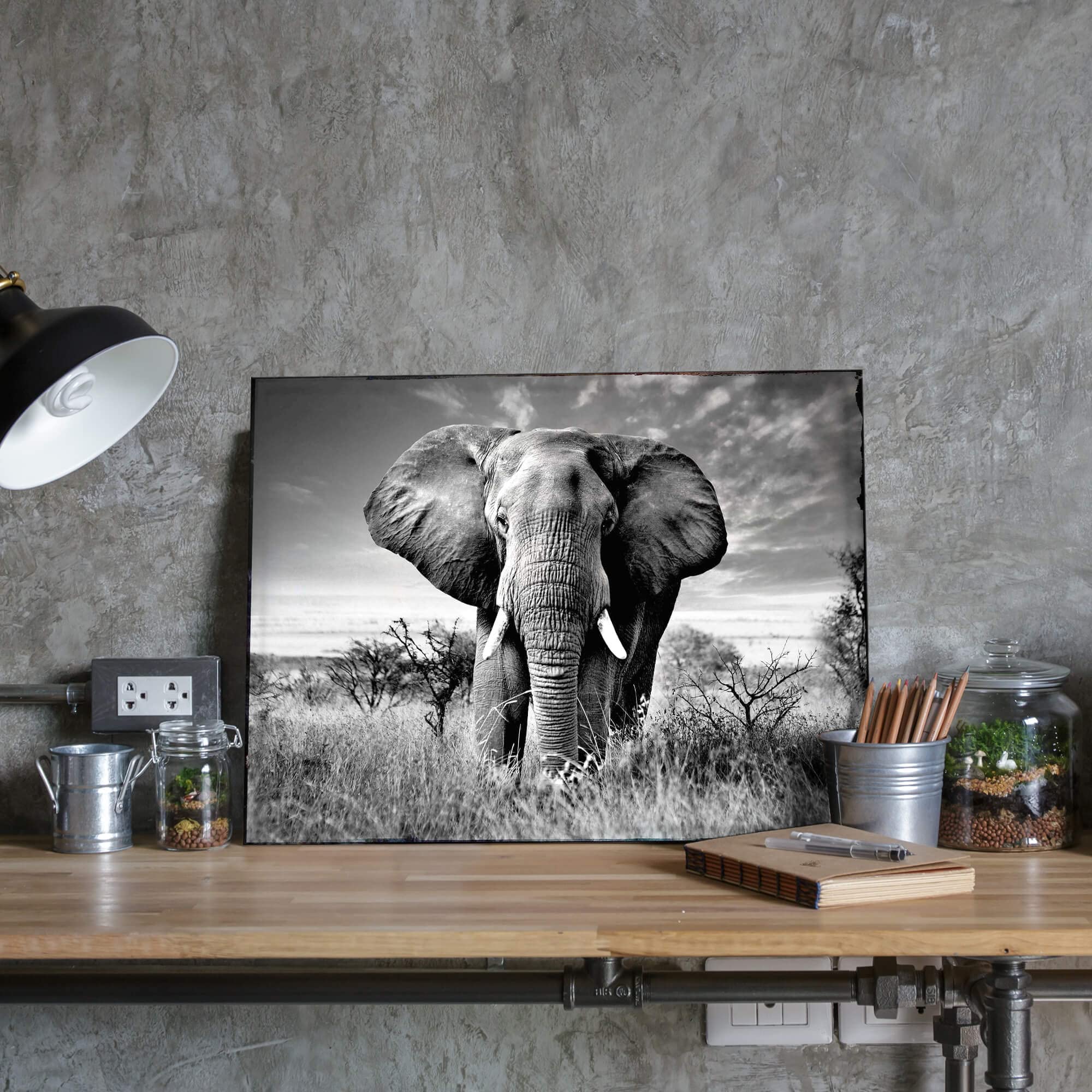 Deco Salon Les éléphants Safari Jungle Buisson Moderne Impression Sur Verre 120x50cm Image Tableau En Verre Decoration Murale Chambre Panoramique Art Grand Tableaux Decoratifs Muraux GAB120x50-3150