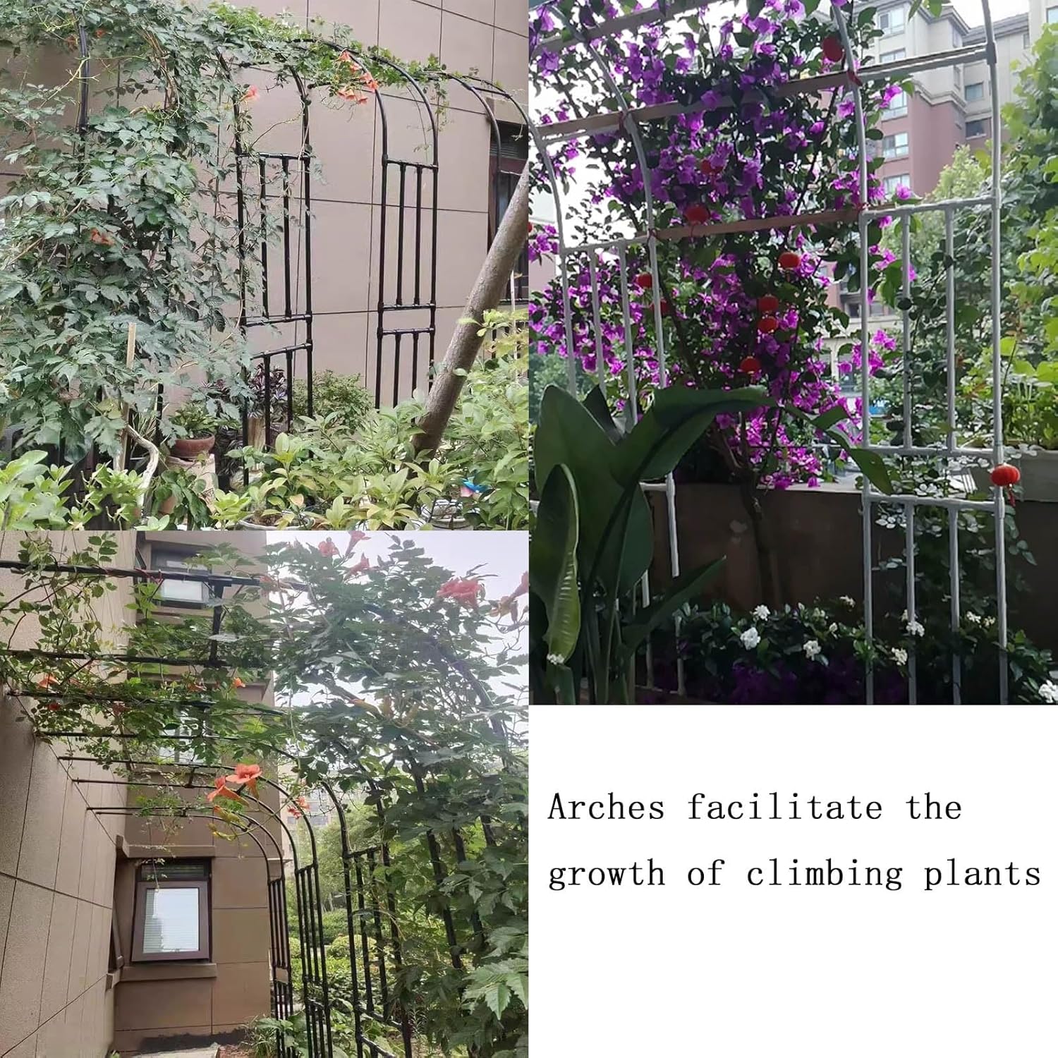 Garden Half Arch Rose Arbor, Climbing Plant Large Garden Arch, Rose Support Outdoor, Metal Garden Decoration Pergola Arbor, Arch Arbor for Patio Patio Climbing Plants(White,180x240x40cm)