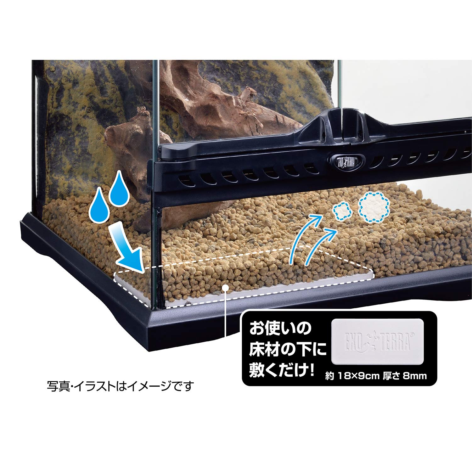 Amazon | エキゾテラ GEX EXOTERRA 調湿防カビプレート 床材の下