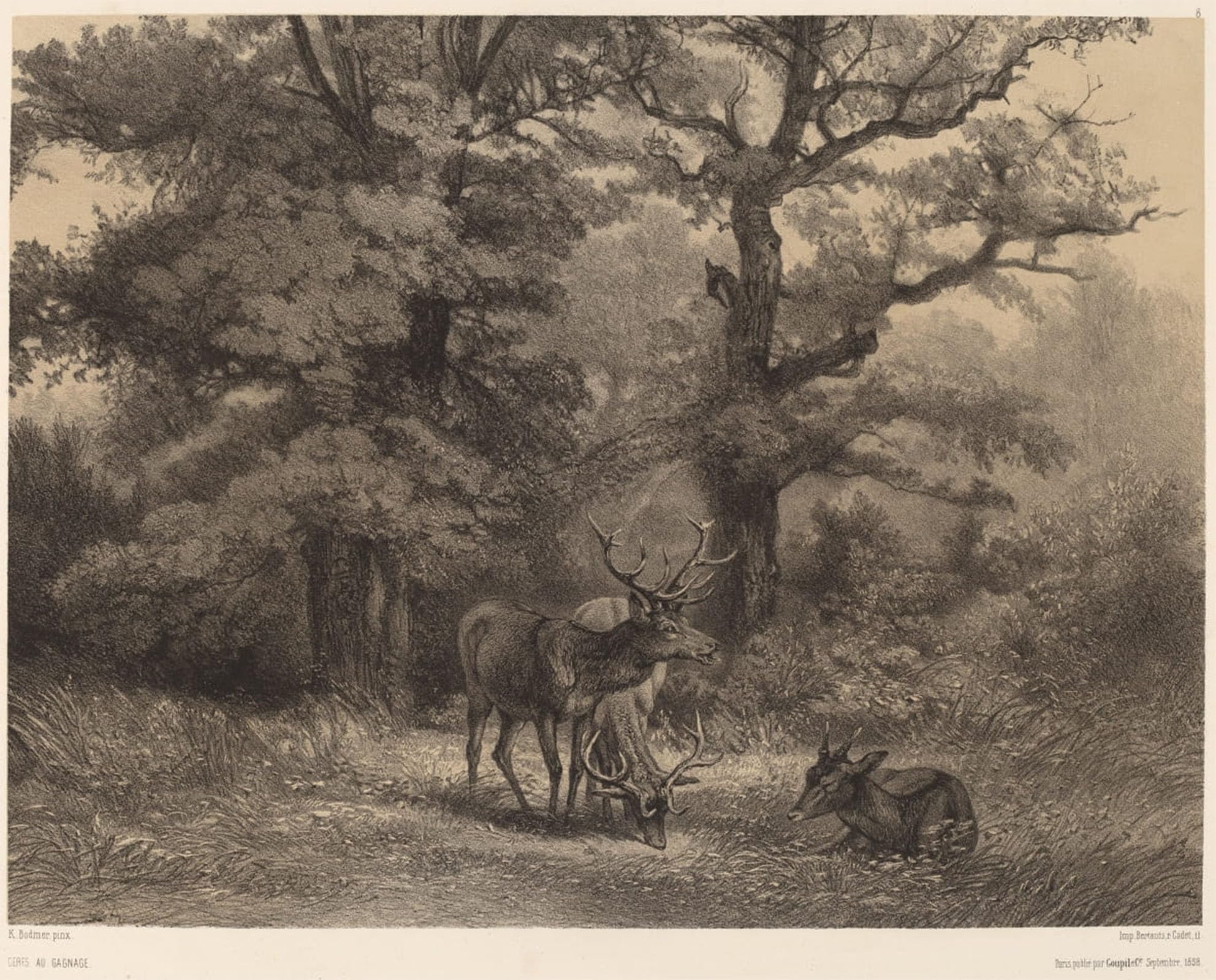 HRJUBWREE Retro Picture Art Painting Wall Poster Deer At the Gagnage by Karl Bodmer Vintage Art Print for Office Decor 60x90cm