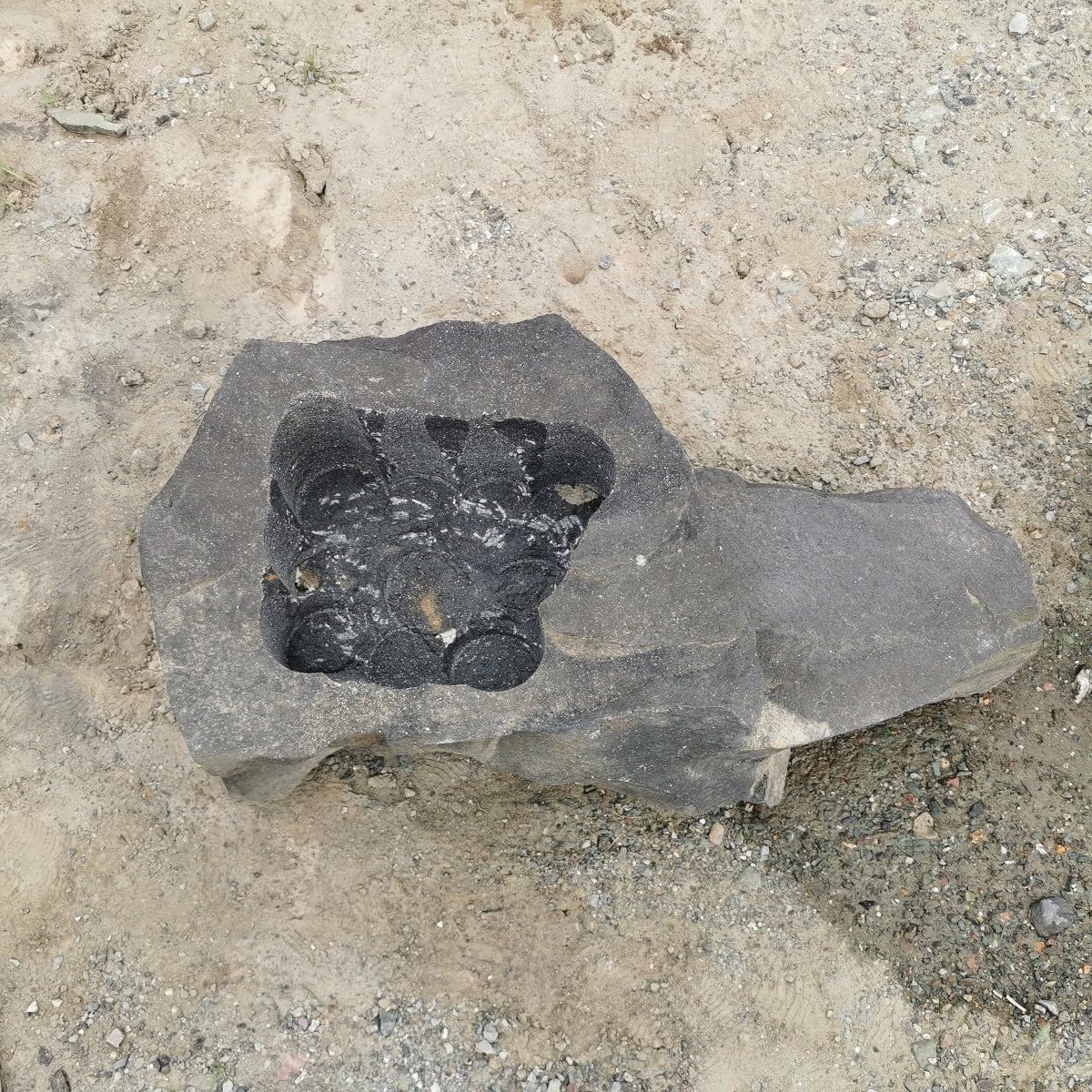 Amazon.co.jp: 浅間溶岩石鉢56キロ2庭石鑑賞石石盆石水石灯籠庭坪庭