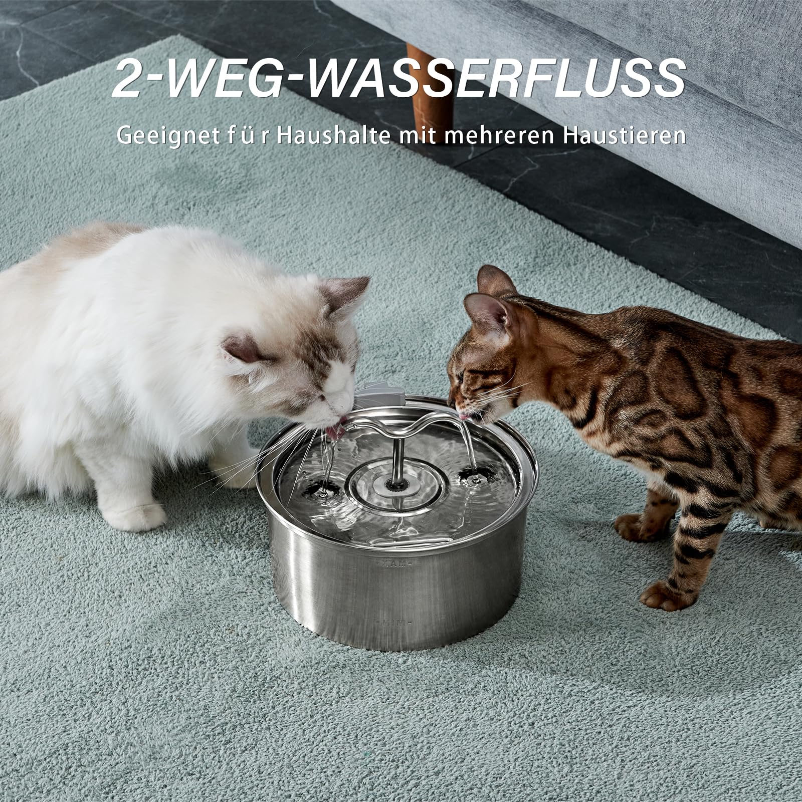 DOOOB Katzentrinkbrunnen, 3,2L Katzen Trinkbrunnen, Katzenbrunnen Edelstahl mit Ultra-Leiser Pumpe, Automatischer Trinkbrunnen für Katze und Kleine Hunde, Inkl. 1 Filter & 1 Schwamm