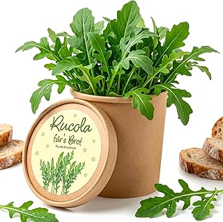 Rucola Anzucht Set im Topf, selbst anbauen auf der Fensterbank, Pflanzset mit Samen & Erde, Frischer Rucola für Salat, Küche, Balkon, Indoor Garten, Kräuteranbau & DIY Pflanzenzucht zuhause