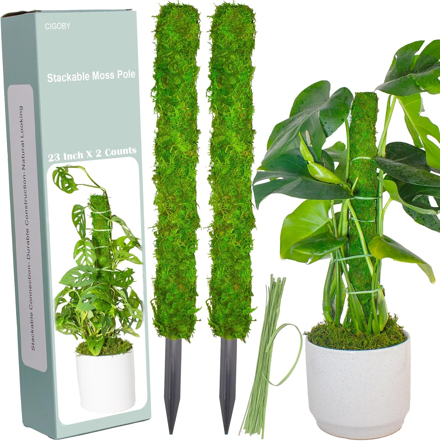 2 Pack 48 Inch Forest Moss Poles for Plants Monstera Handmade Stackable Artificial
