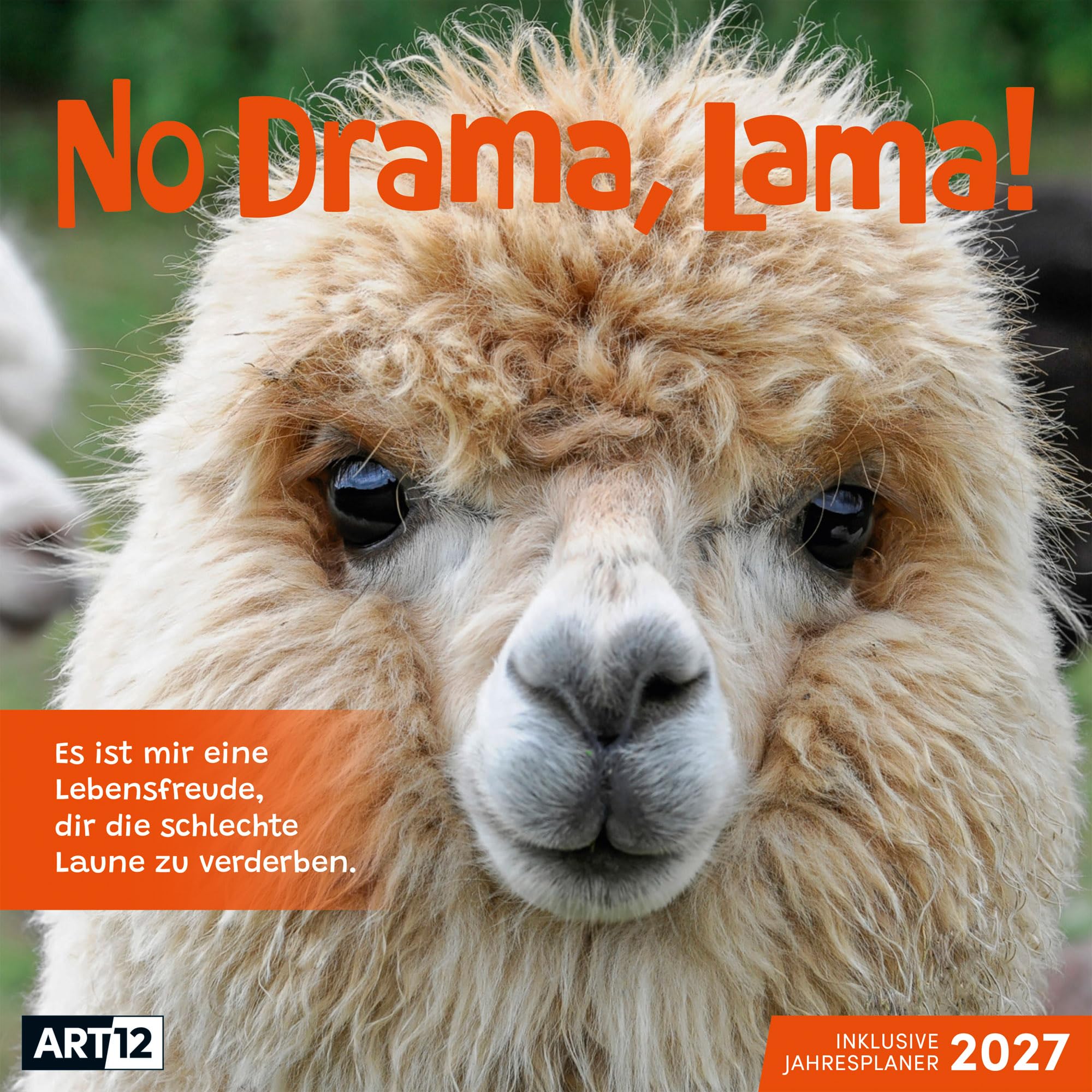 No Drama, Lama Kalender 2027 - 30x30 - Art12: Humorvoller Tier-Kalender im schlanken Hochformat (aufgeklappt 30x60 cm) | zum Eintragen