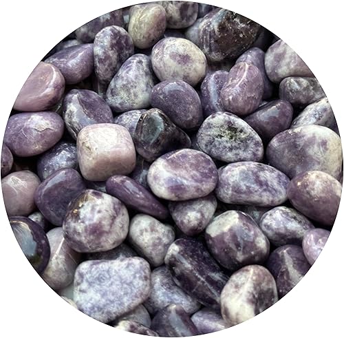 Miniatura 194 de GAF TREASURES Piedras pulidas de ojo de tigre de 1/2 libra, piedra preciosa natural pulida, cristales curativos de ojo de tigre (ojo de tigre)