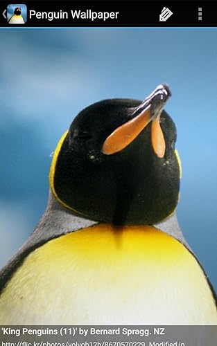 Penguin Wallpaper - App on Amazon Appstore