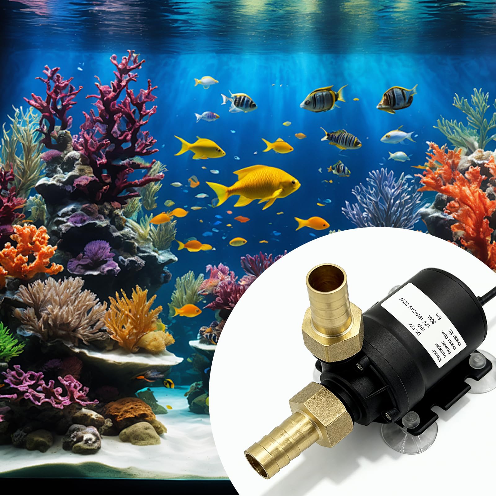 Bomba de agua sin escobillas DC 12 V, bomba sumergible mini con eje de cerámica, bomba de circulación para acuario, 800 L/H, altura de extracción de 5 m, para estanque, fuente, piscina