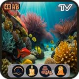 サンゴ礁水族館：リラックスできる水槽のスクリーンセーバーと水の音