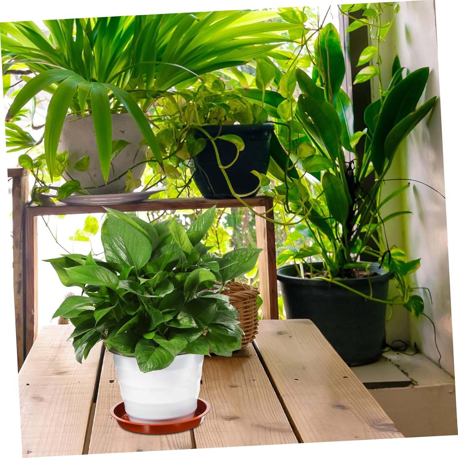 POPETPOP 60pcs Plant Saucer Trays for Pots Flower Pot Trays Protective Function for Indoor and Outdoor Plants Options