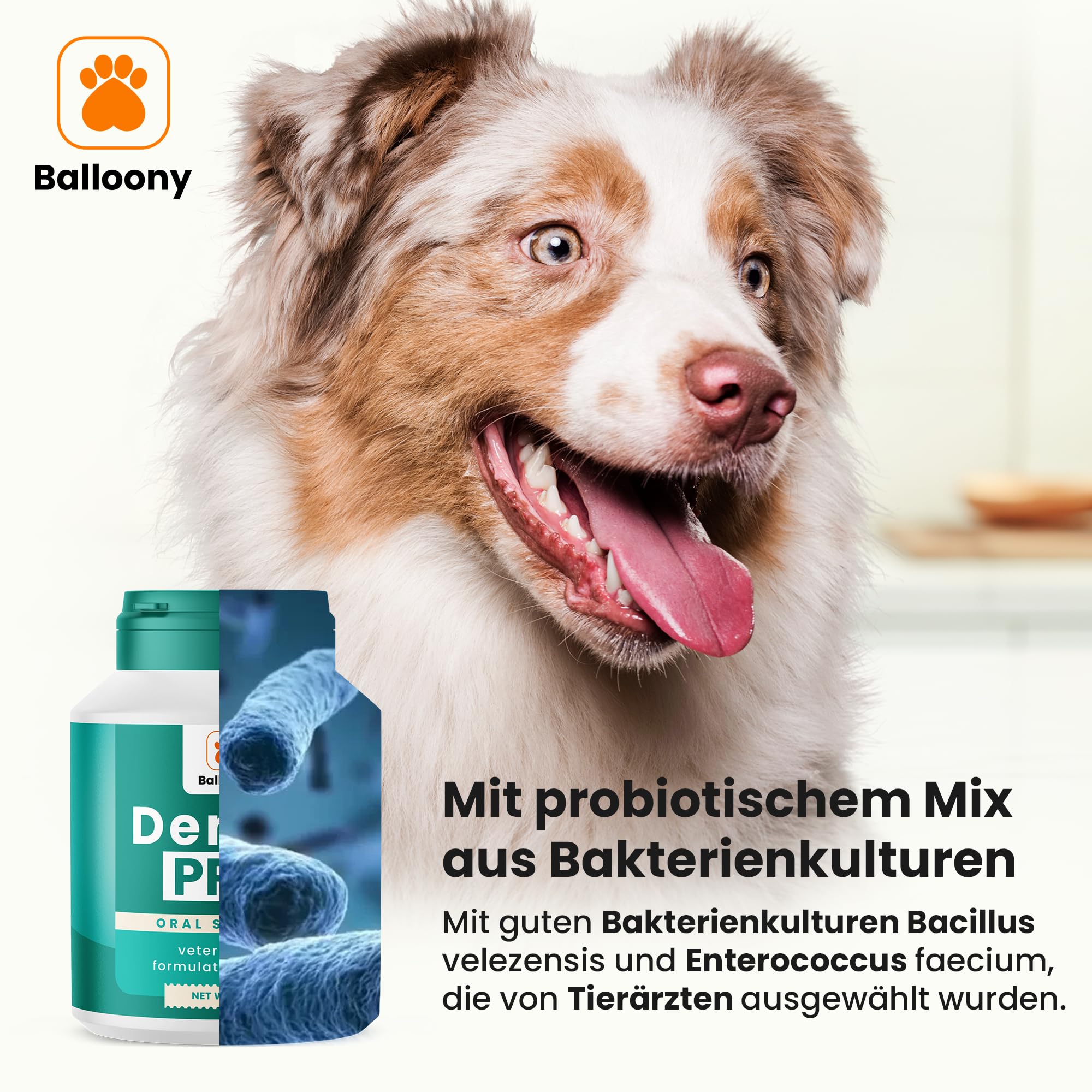 Dental PRO - Polvo dental para perros – Limpieza dental natural contra la placa y el mal aliento – Fácil aplicación diaria (120 g)