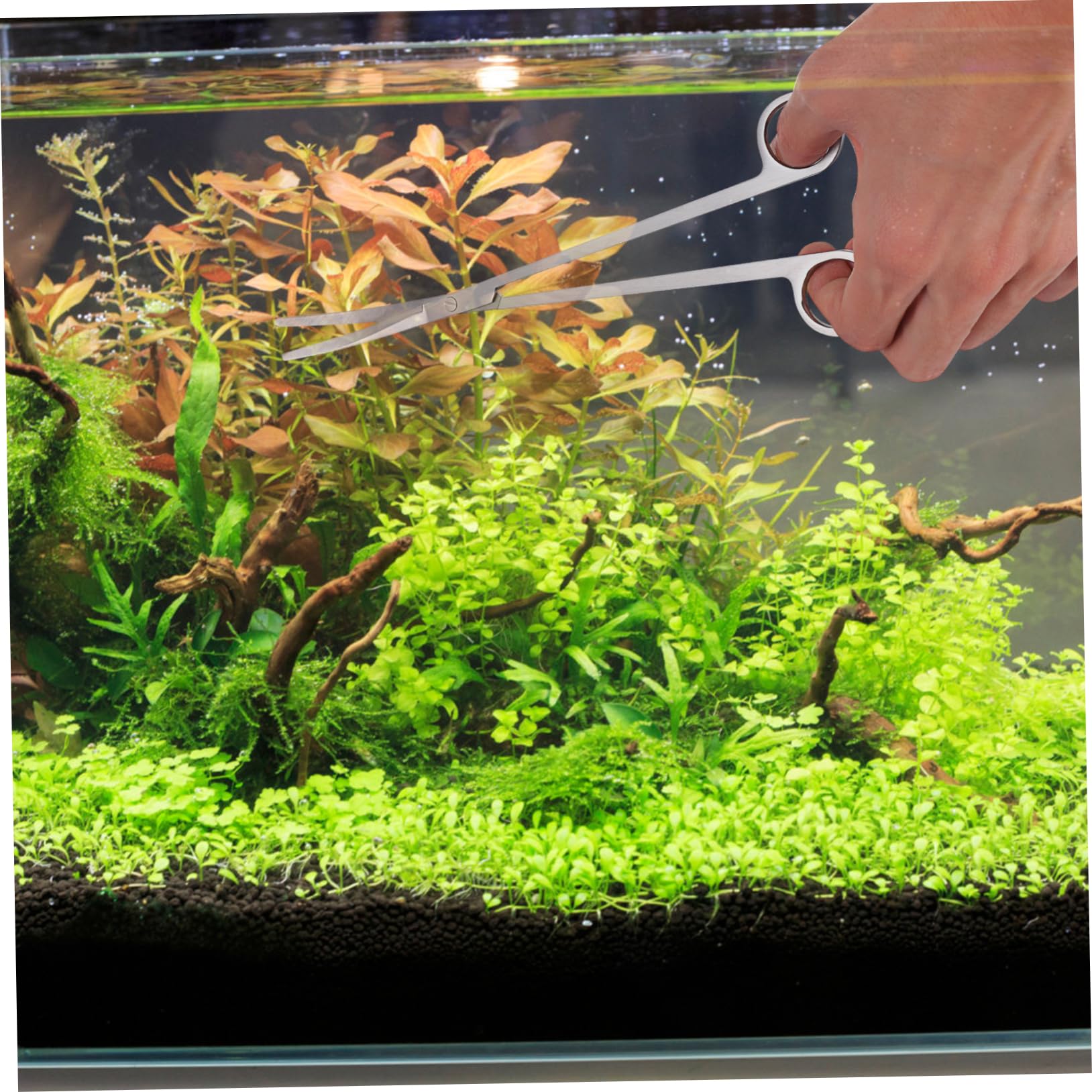 Juego de Herramientas para Acuario de Acero Inoxidable, 1 Set | Tijeras, Pinzas y Espátula, Acabado Plata, para Grava y Plantas Acuáticas
