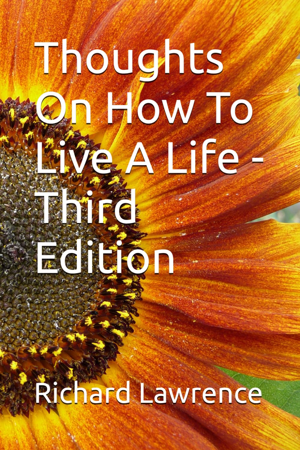 Thoughts On How To Live A Life -Third Edition