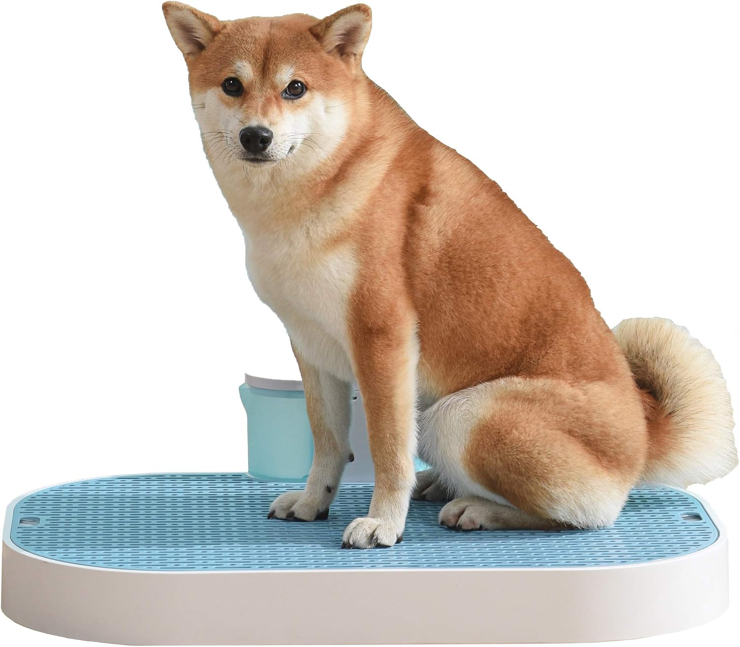 HYERSPACE 23.6"X17.7" Self-draining Indoor Dog Potty Tray for Small and Medium Dogs with Pipe Puppy Toilet Free of Pee Pad Integrated…