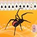 Spider Solitaire