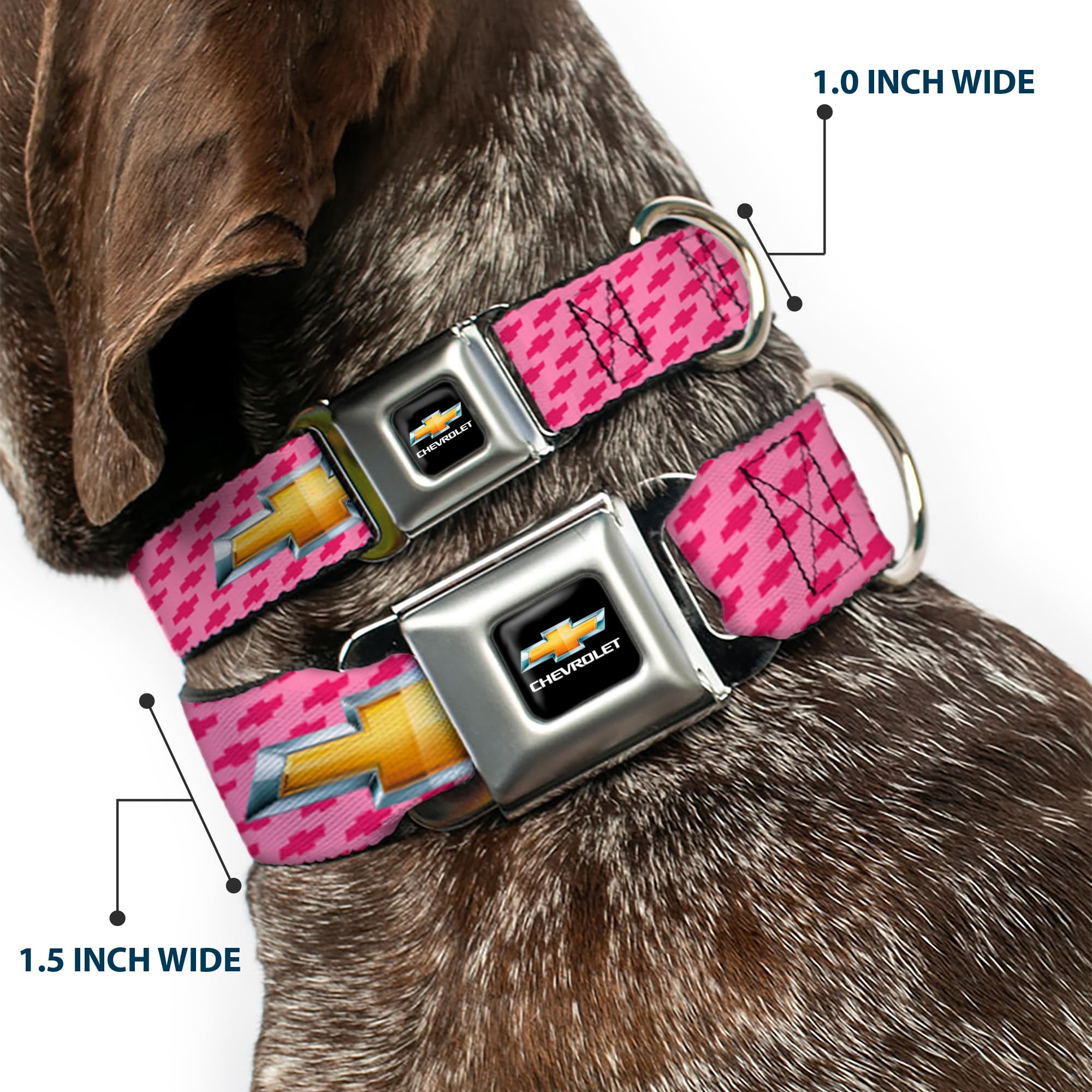 Chevy-Hundehalsband Von Buckle Down – 22,9–38,1 Cm, Sicherheitsgurt-Design, Schwarz/gold