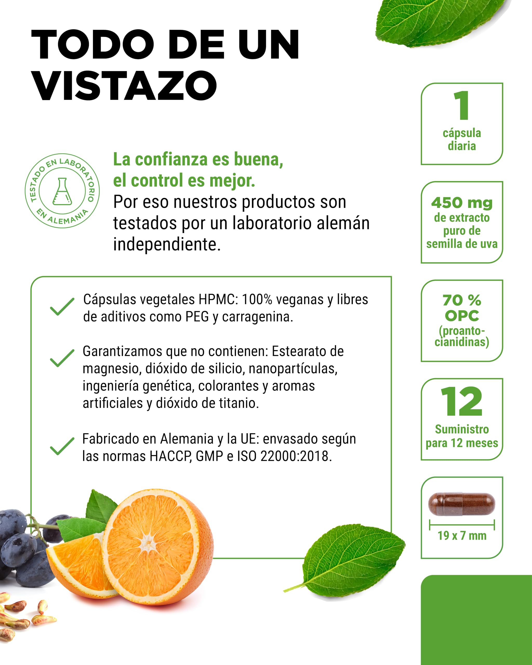 OPC extracto de semilla de uva + vitamina C natural - 365 cápsulas para 12 meses - Máximo contenido de opc según HPLC - Vegano