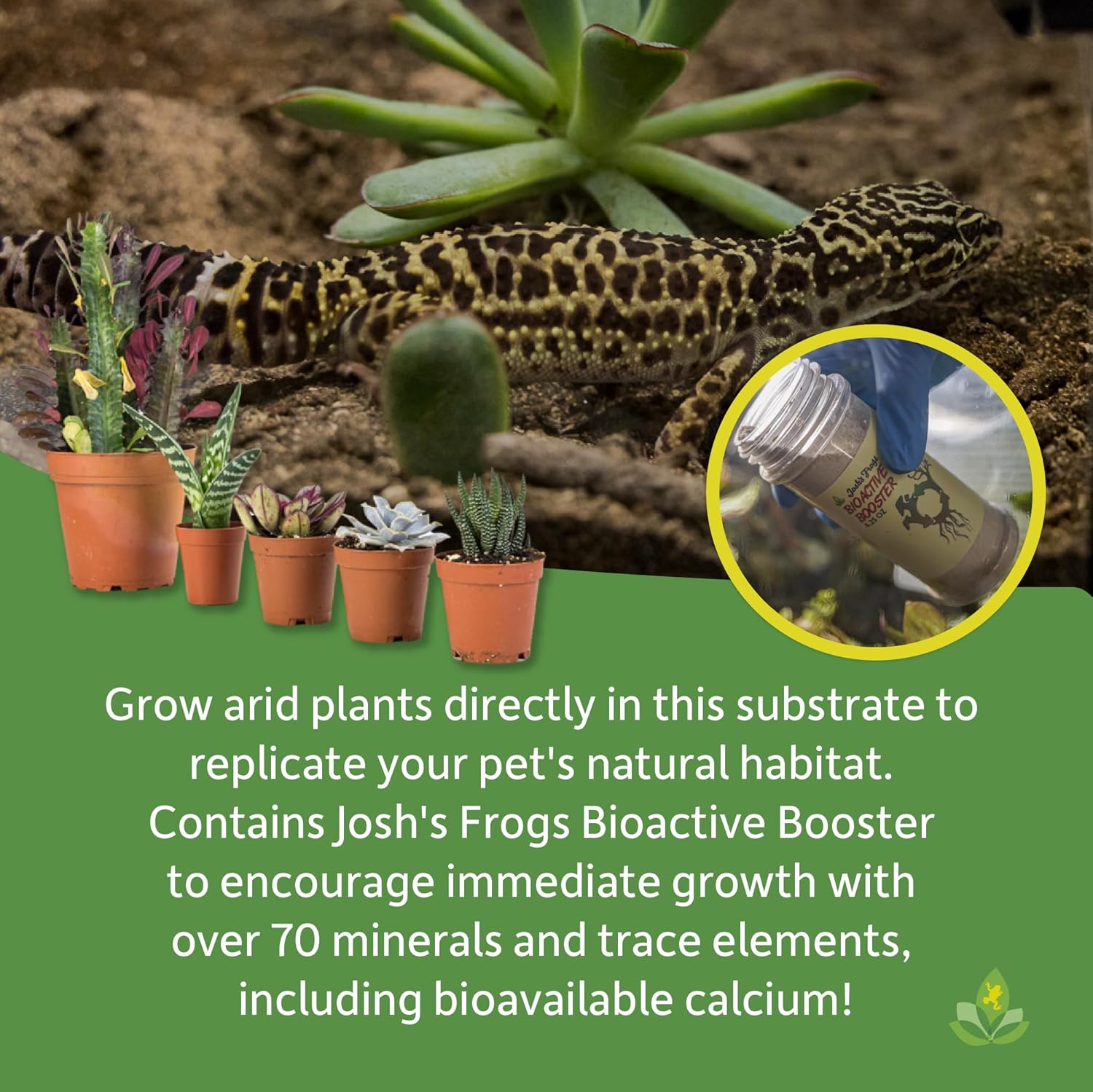 Josh's Frogs BioBedding Desert Bioactive Substrate (10 Quart)