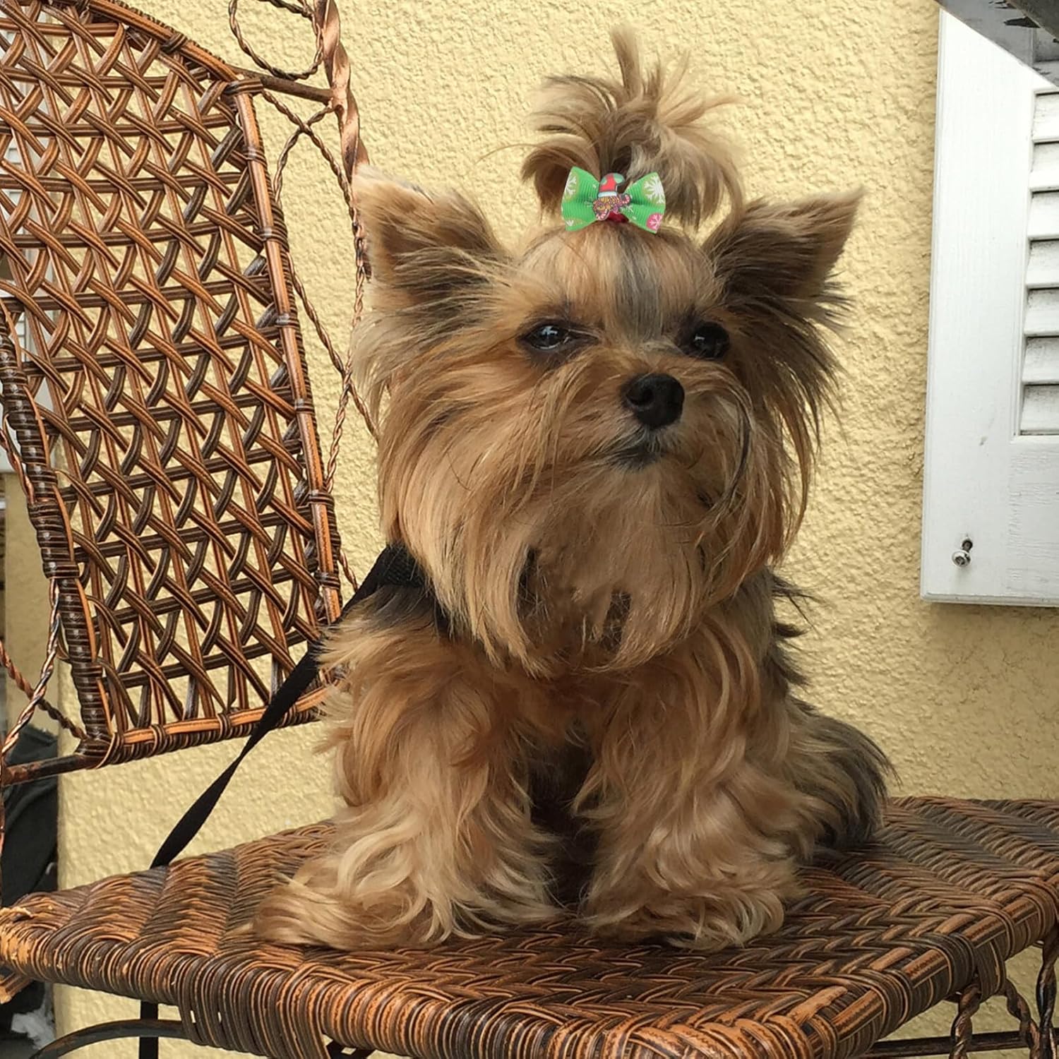 Balacoo 30 Pieces Christmas Pet Hair Bows with Elastic Hair Bow Hair Band Christmas Ring Hair Accessories for Dogs Cats Kids 7