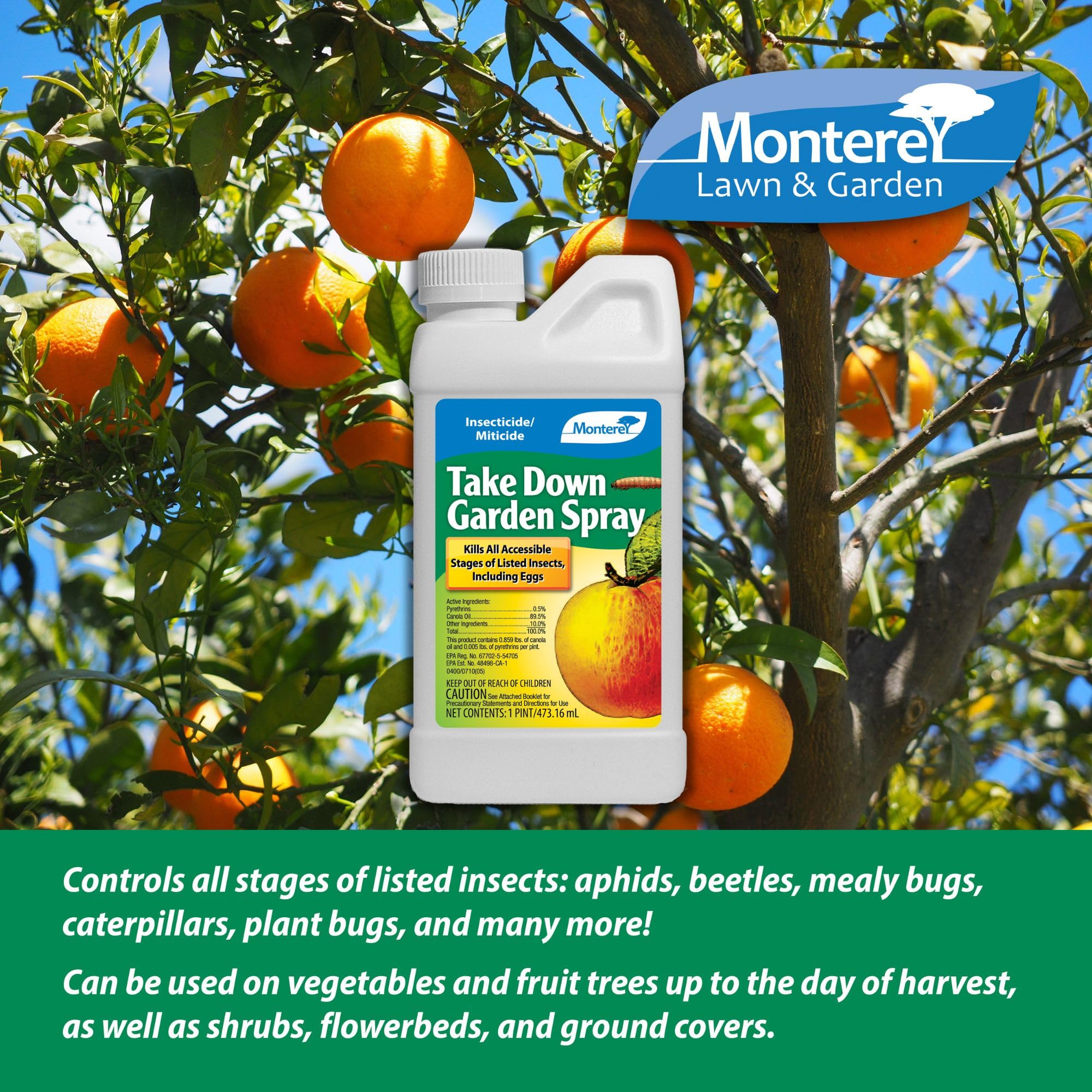 Take Down Garden Spray Pint