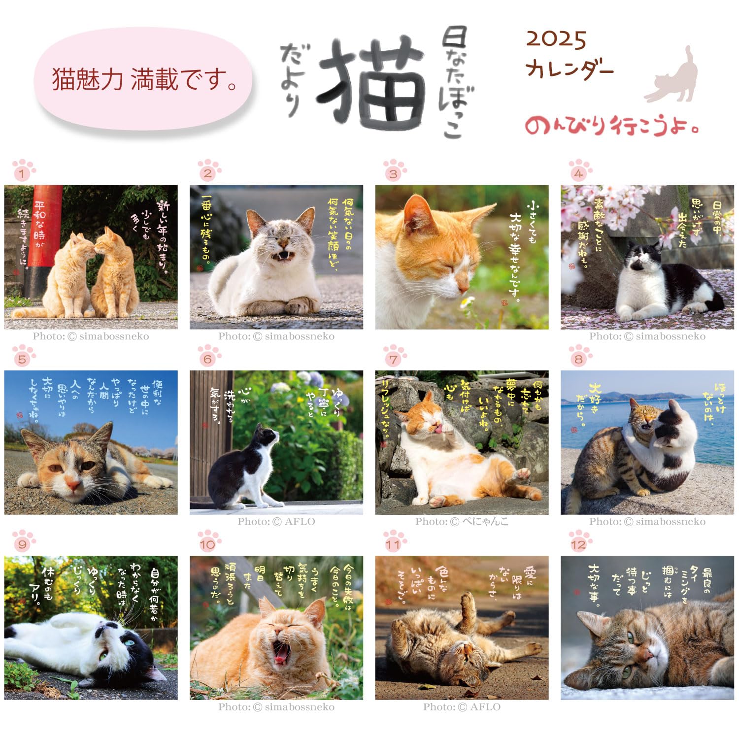 猫が邪魔で何も見えないカレンダー Amazon.co.jp: アクティブコーポレーション 2025年 カレンダー