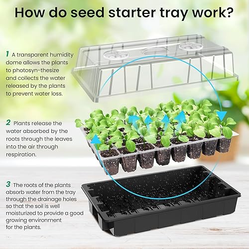 Vista 18 de MIXC Bandejas de semillas para semilleros, paquete de 5 mini propagadores de plantas de cultivo de invernadero con cúpulas ventiladas de humedad
