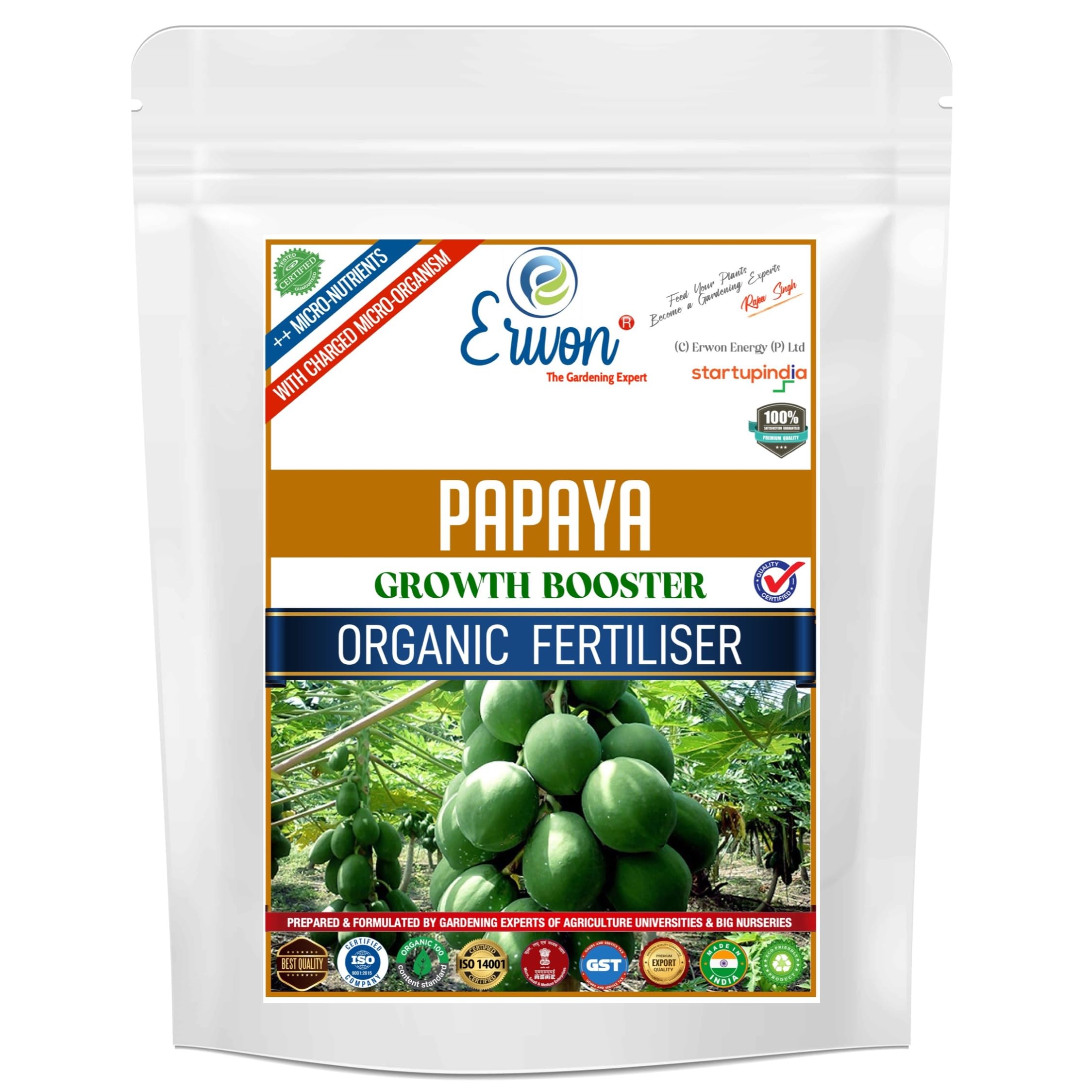 f1 tomato plants Tomato 'Iron Lady' F1 Plants
