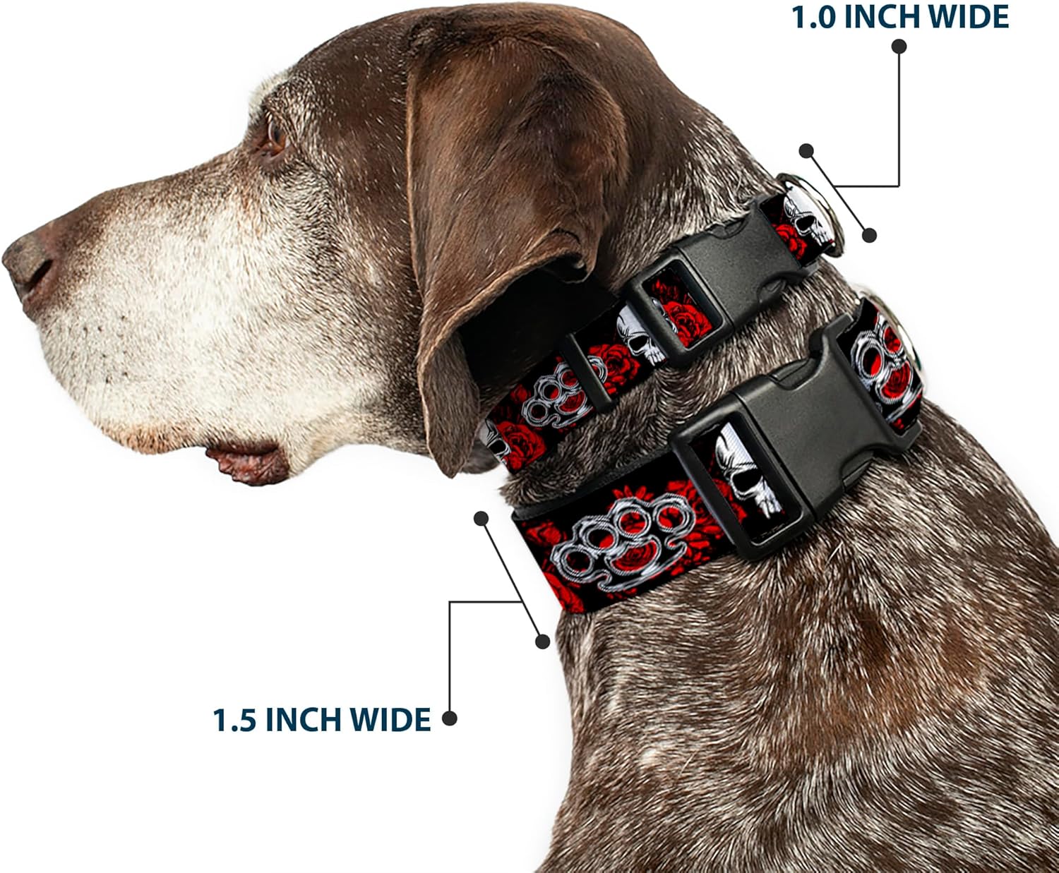Buckle-Down Plastic Clip Collar - Brass Knuckles/Skulls/Roses Black/Red/White