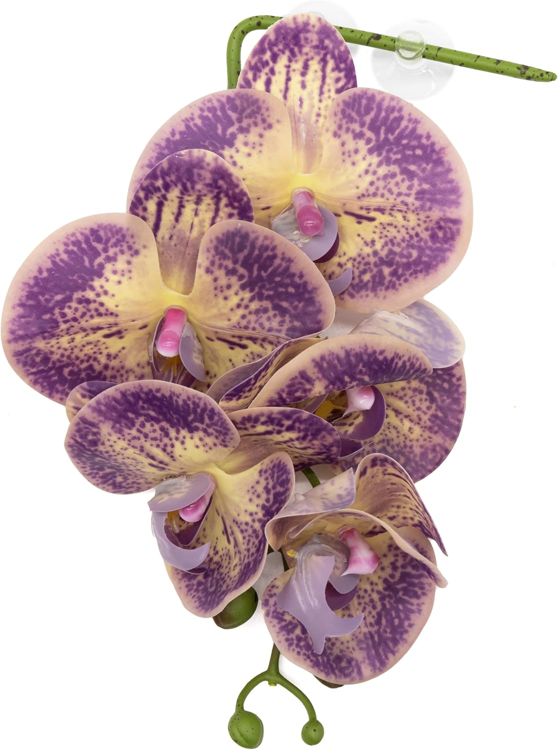 Pangea Reptile Hanging Orchid for Terrarium Decor (Purple & Yellow)