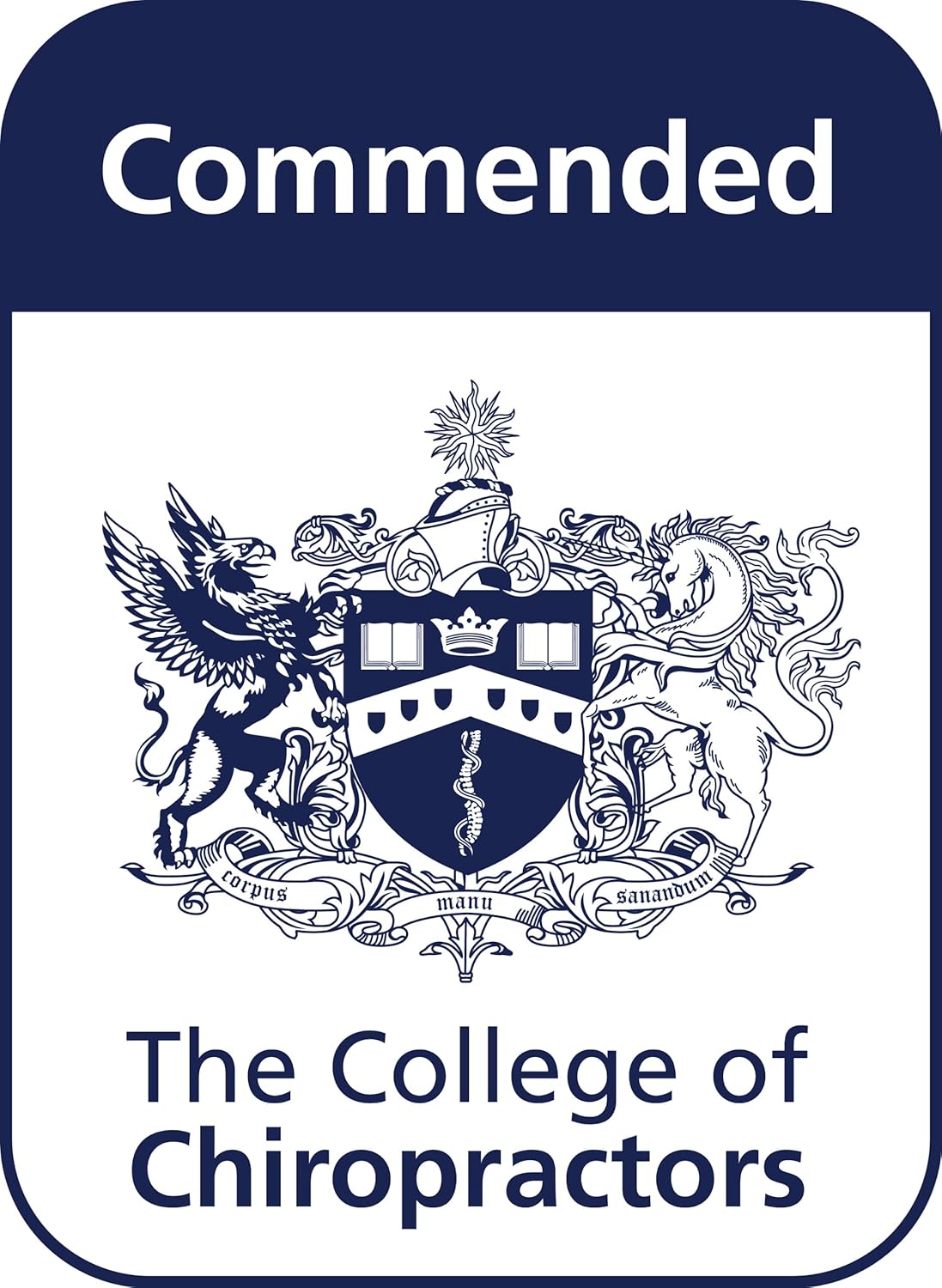 Falcon i-stay Bag with Non Slip Strap