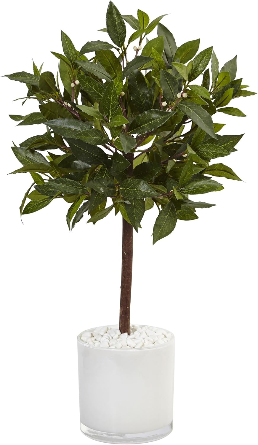 Nearly Natural 2ft. Sweet Bay Artificial Tree in White Glossy Cylinder